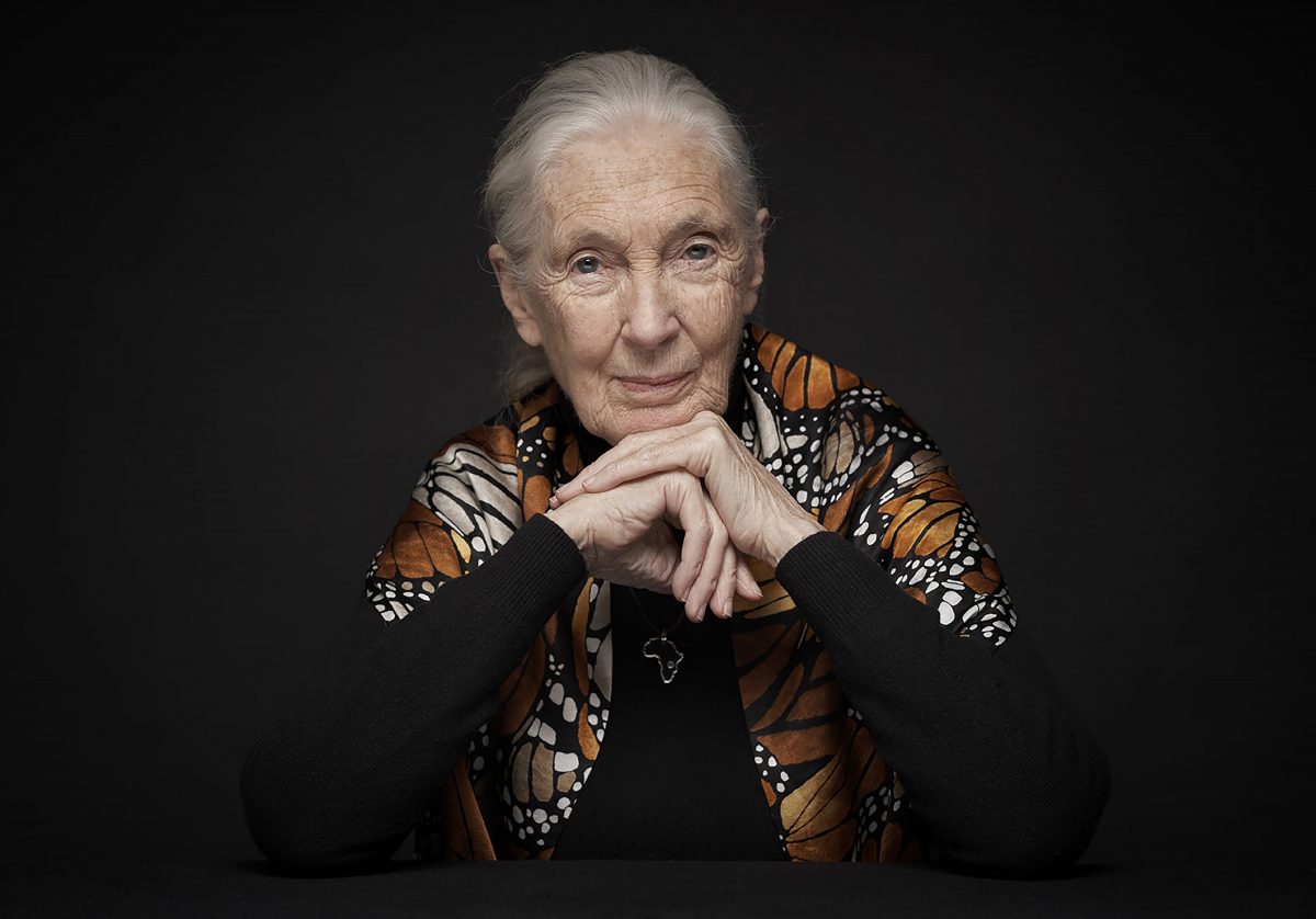 Jane Goodall, 2020 Tang Prize Laureate in Sustainable Development