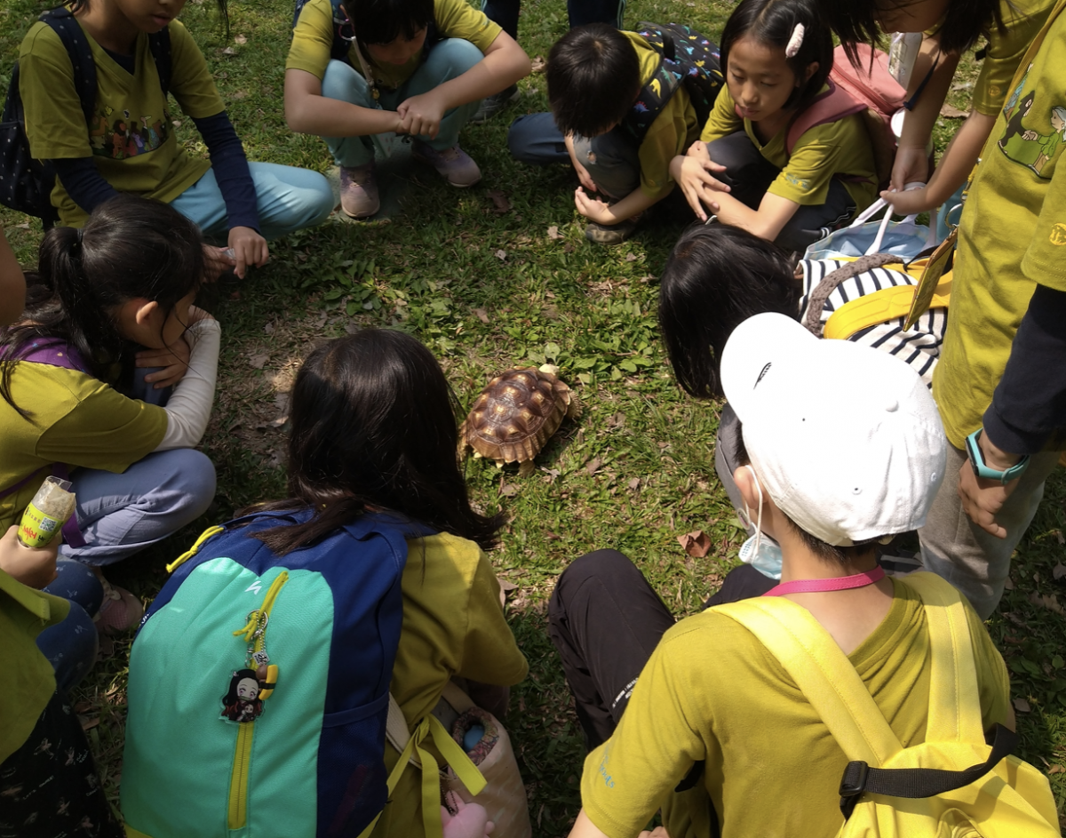 They establish the Jane Goodall Sustainability Academy, Asia’s first experimental elementary school that focuses on conservation and sustainability issues