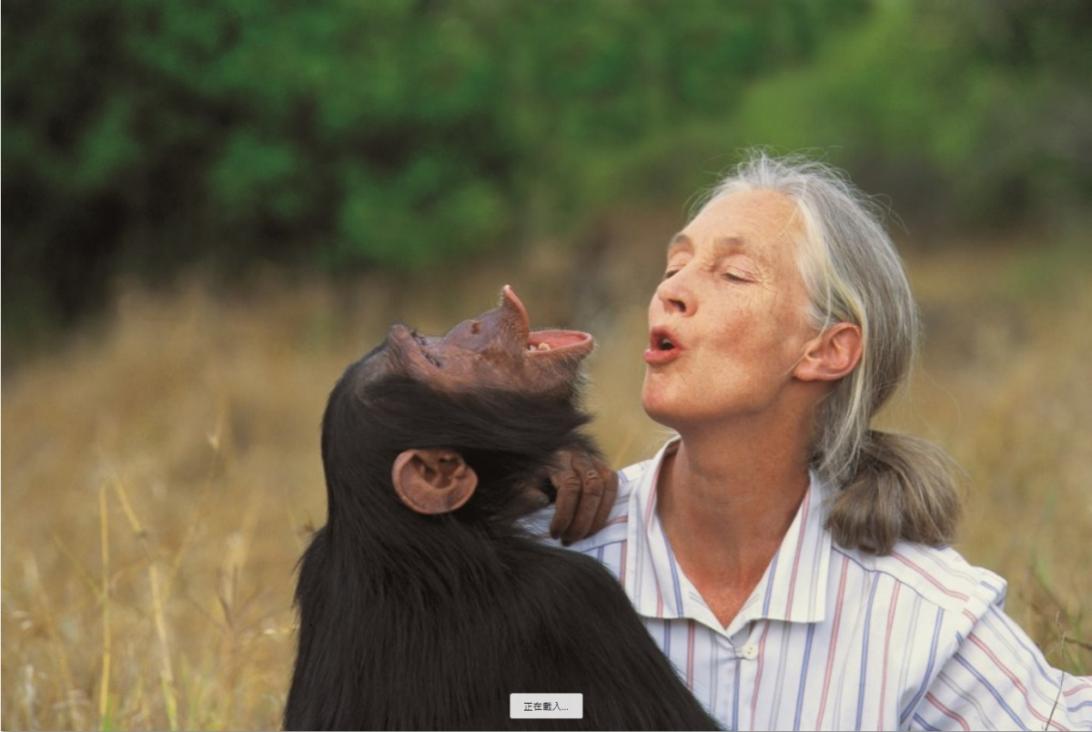 Jane Goodall, 2020 Tang Prize Laureate in Sustainable Development