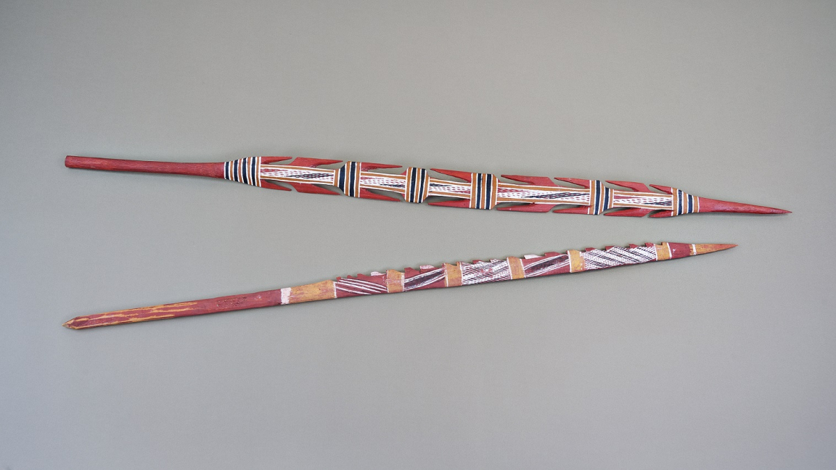 A pair of wooden spears made by Australian Indigenous people. The donor, British immunologist Marc Feldmann, described the weapons as a metaphor for “his successful pursuit of a therapeutic target.”