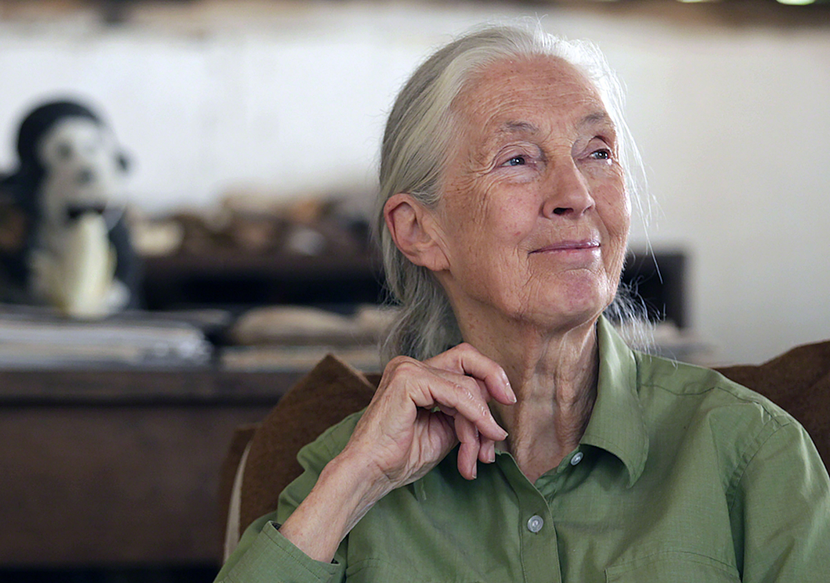 Jane Goodall, 2020 Tang Prize Laureate in Sustainable Development