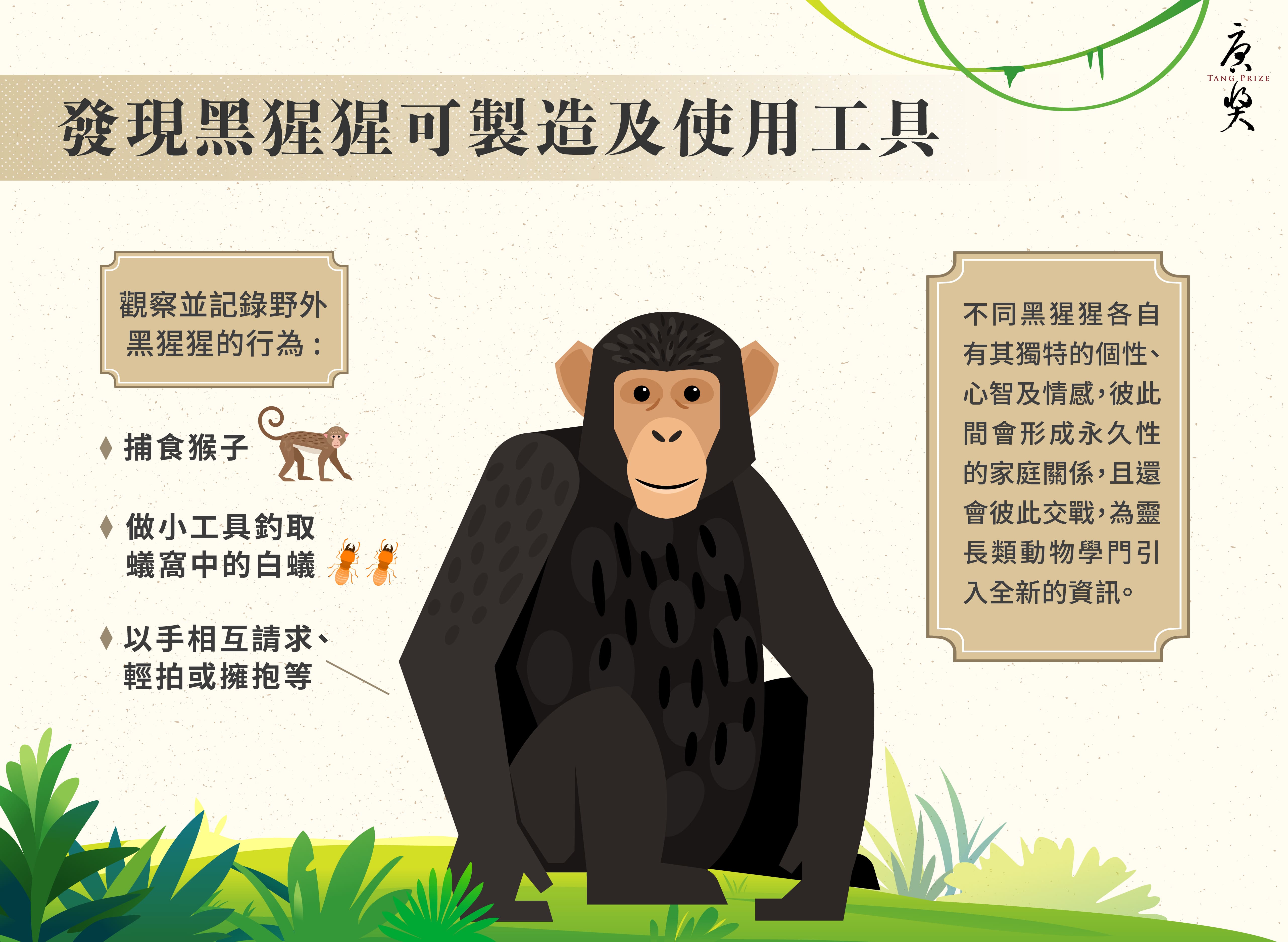 2020-永-Jane Goodall-CN-04