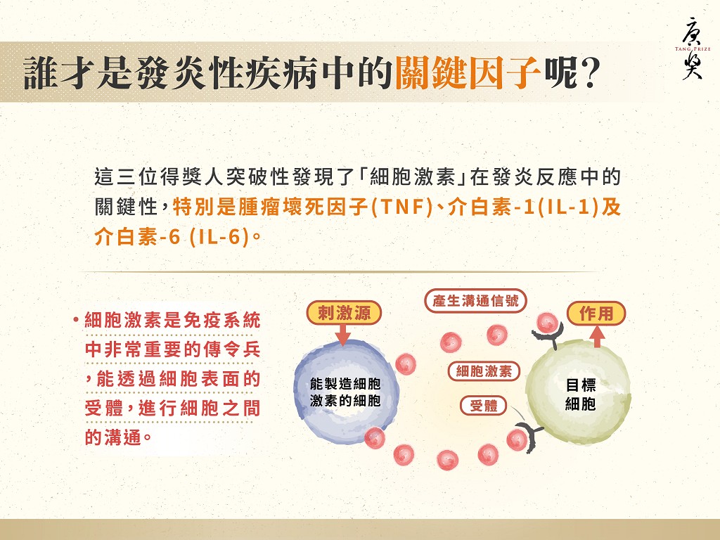PhotoCap_003