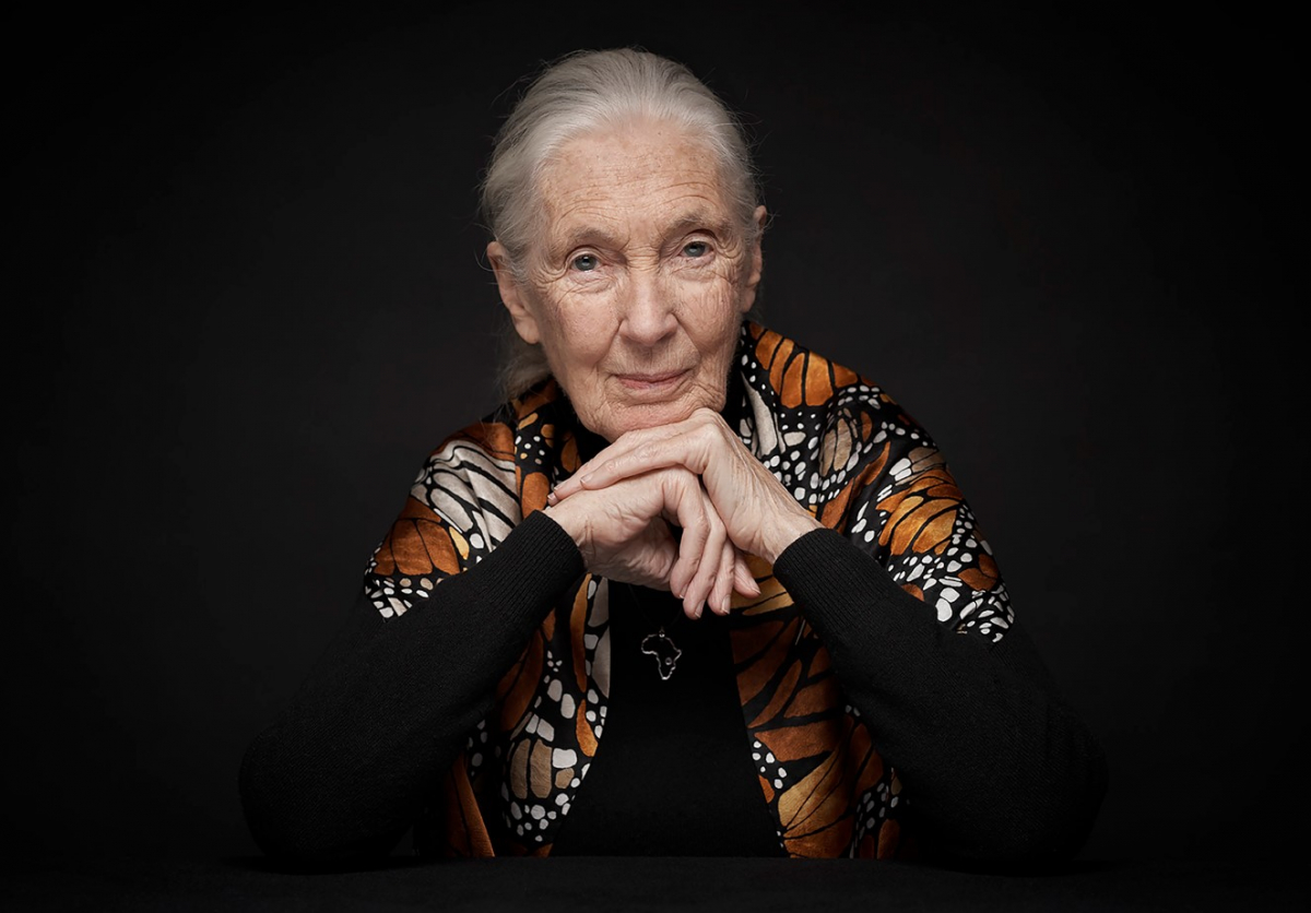 2020永續發展獎得主珍古德Jane Goodall