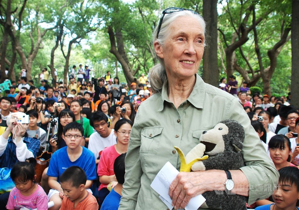 2020 唐獎永續發展獎得主珍古德博士(Jane Goodall)